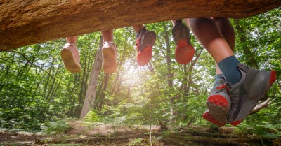 Four pairs of legs dangle from a log, their colorful shoes contrasting with the lush green forest backdrop as sunlight filters through the trees
