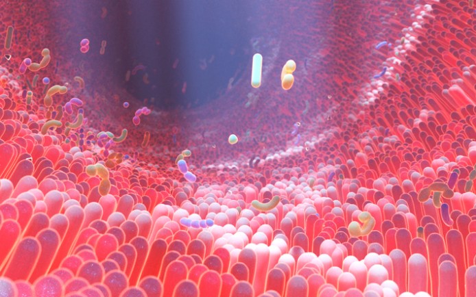 microbioom2.jpg