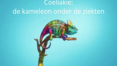 Kameleonl liggend.jpeg