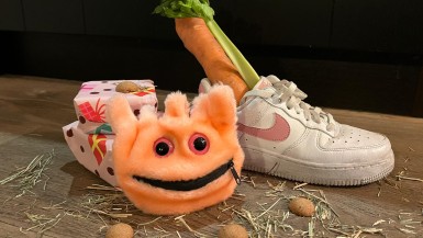 Knuffel schoencadeautje.jpeg