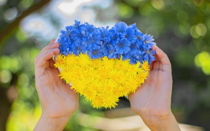 iStock-1331647703.jpg