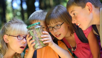 Op kamp gaan op de basisschool