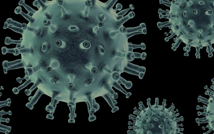coronavirus.jpg
