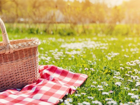 Checkered picnic duvet with empty basket on the blossoming meadow. Concept of leisure and family weekend.