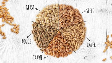 Wat is gluten?