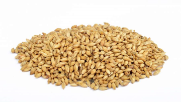 Gerstemoutextract en gerstemoutaroma