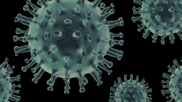 Coronavirus