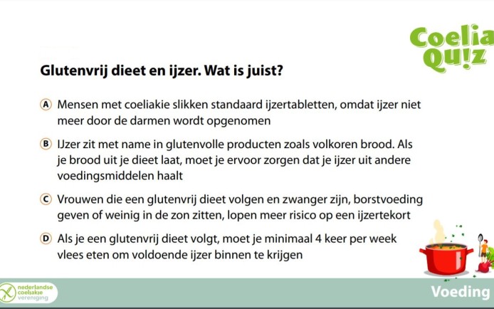 quiz ijzer.JPG