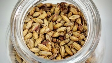 Gerstemoutextract en gerstemoutaroma