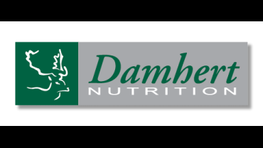 BE-003 Damhert.png