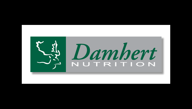 BE-003 Damhert.png
