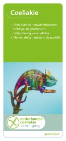 Flyer voor huisartsen (papier)